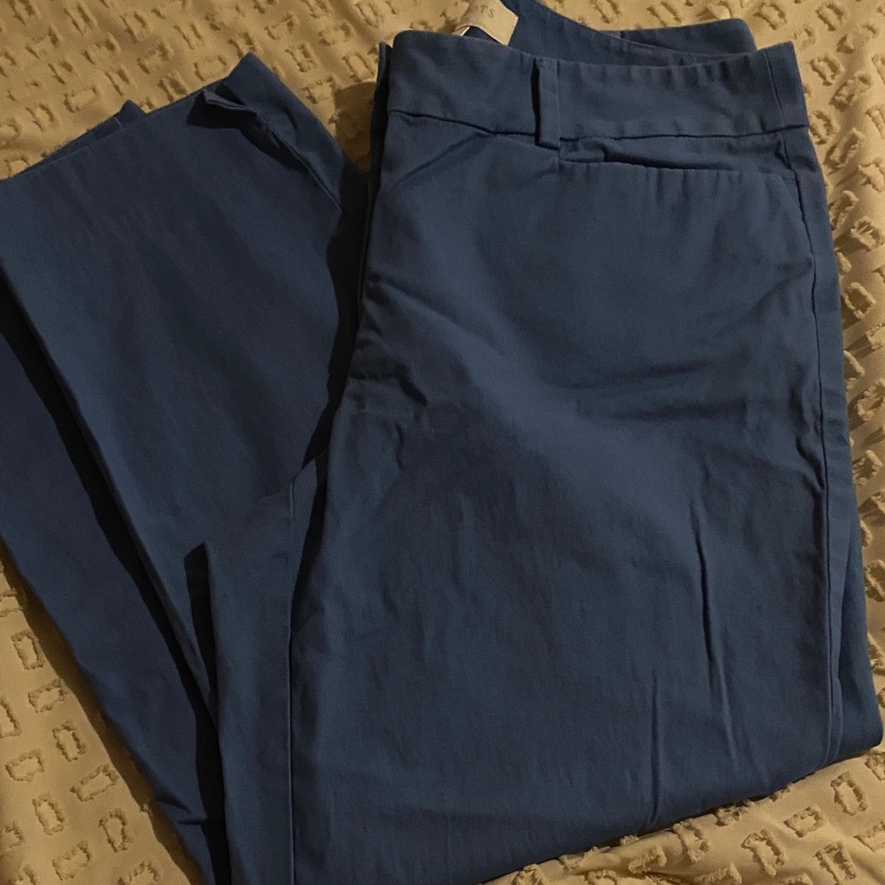Woman’s Dress Blue Pants